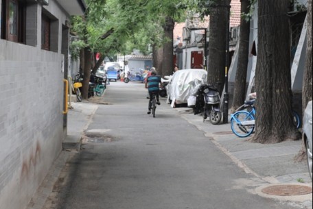 育樹胡同 - 位于北京市東城區東直門北小街西側